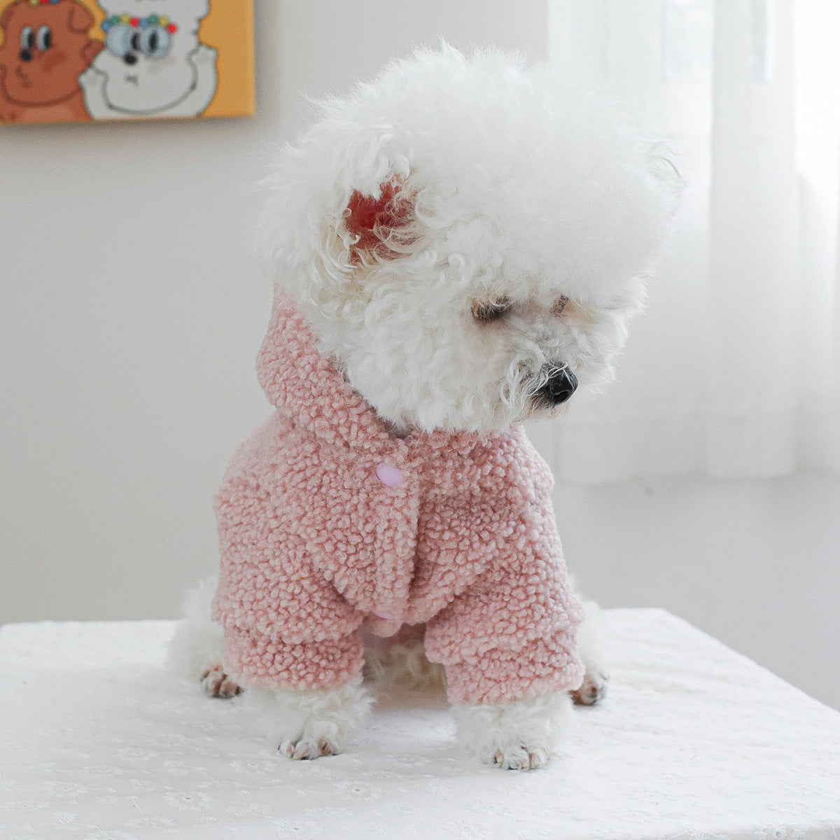 Pet Clothes For Dogs And Cats