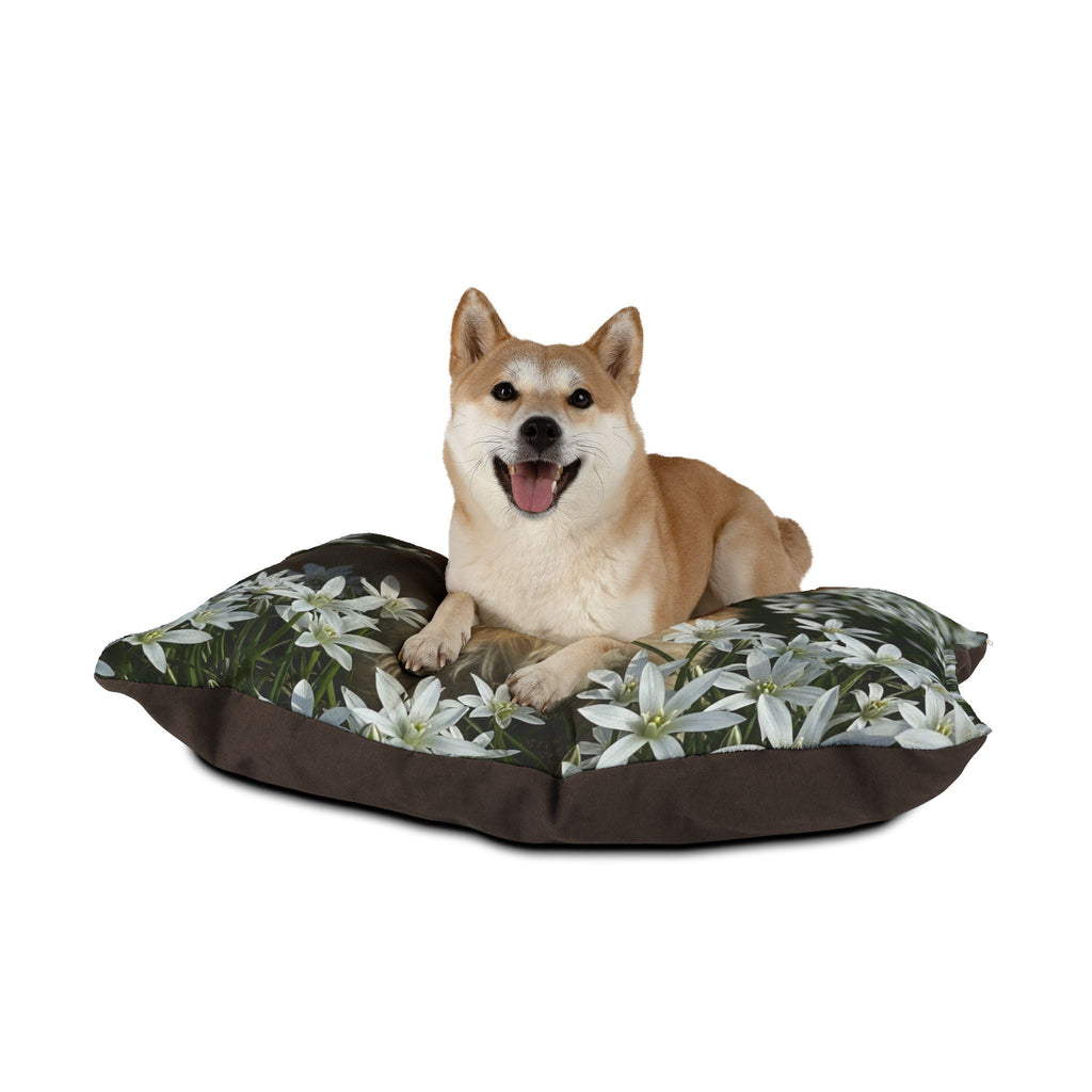 Pet Bed – Plush Dog Bed, 3 Size Options