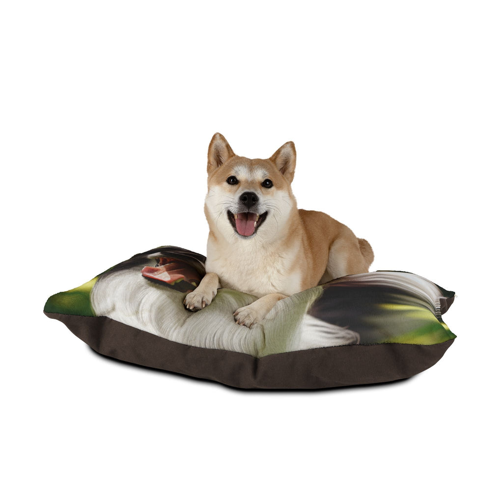 Pet Bed – Plush Dog Bed, 3 Size Options