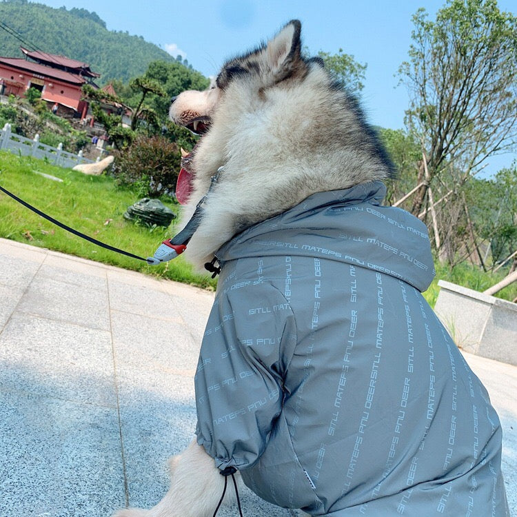 Pet non-fury windproof clothing