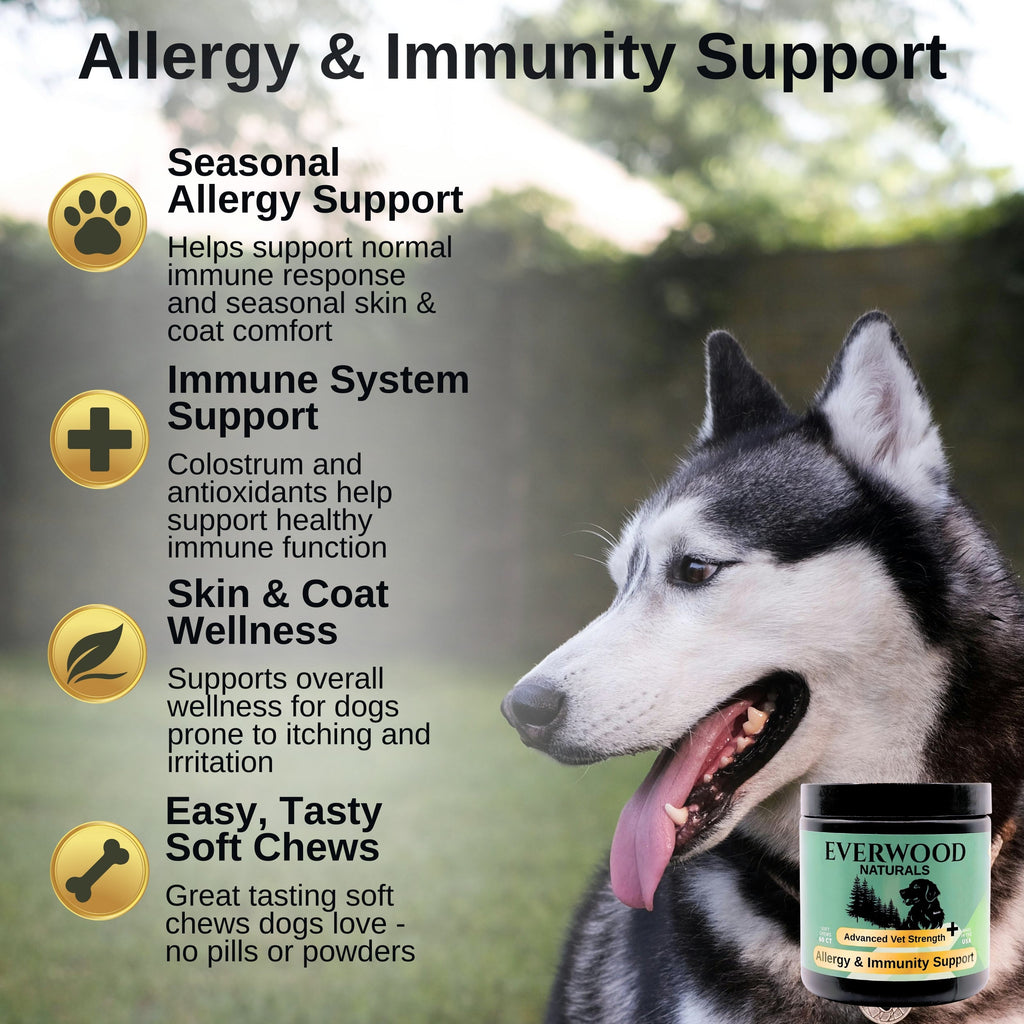 Everwood Naturals Advanced Vet Strength Allergy & Immunity Dog Supplement Chews