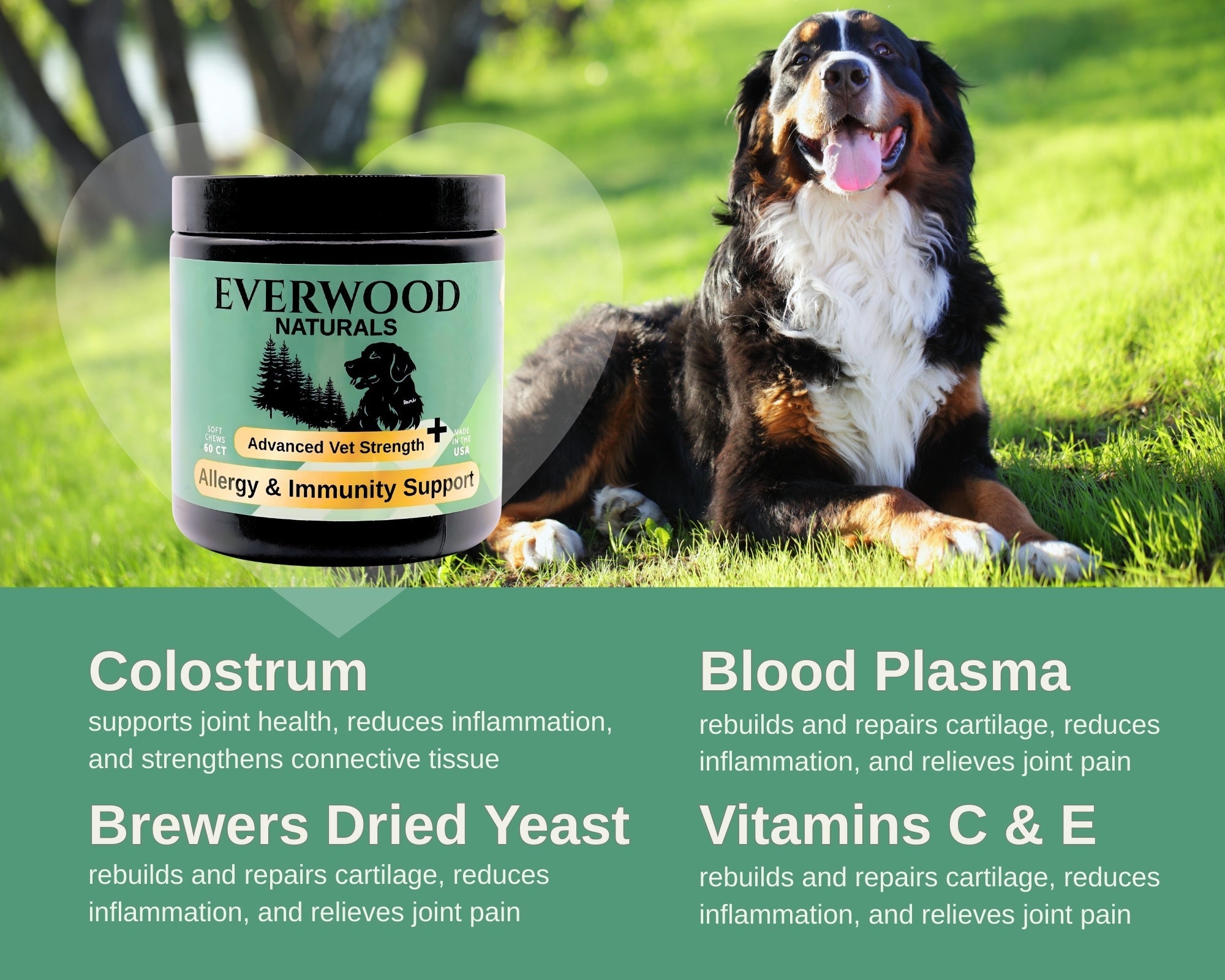 Everwood Naturals Advanced Vet Strength Allergy & Immunity Dog Supplement Chews