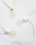 Ambience Globe LED Plug In String Lights