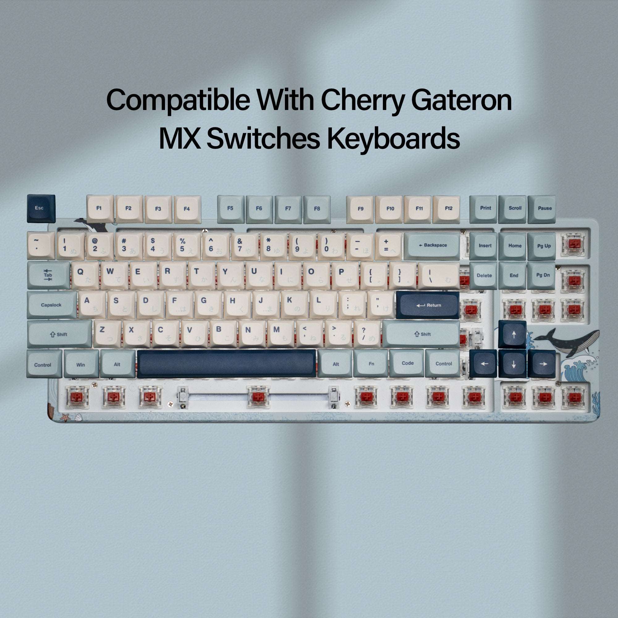 XVX Lavender Purple/Blue Dye-Sub XVX Profile Keycap Set (123-Key)