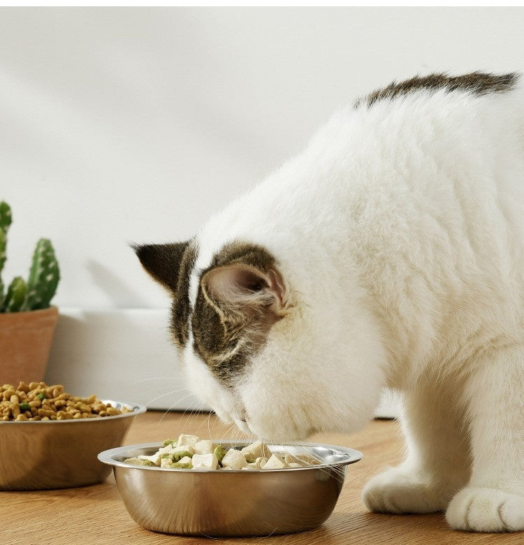 Into Cat Kittens Porcelain Bowl Cat Food Bowl Ceramic Pet Small Dog