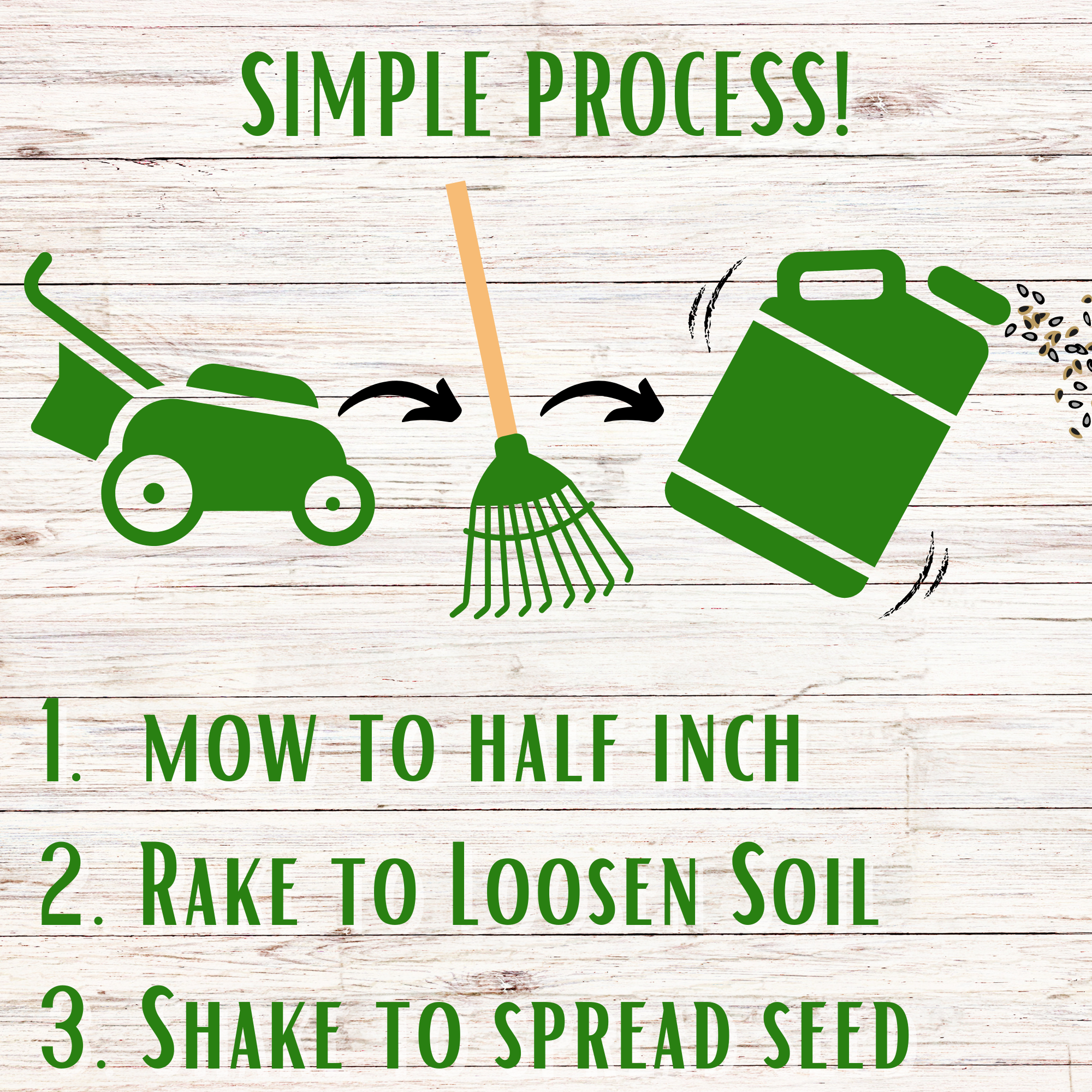 Thick Bee Lawn Seed Kit