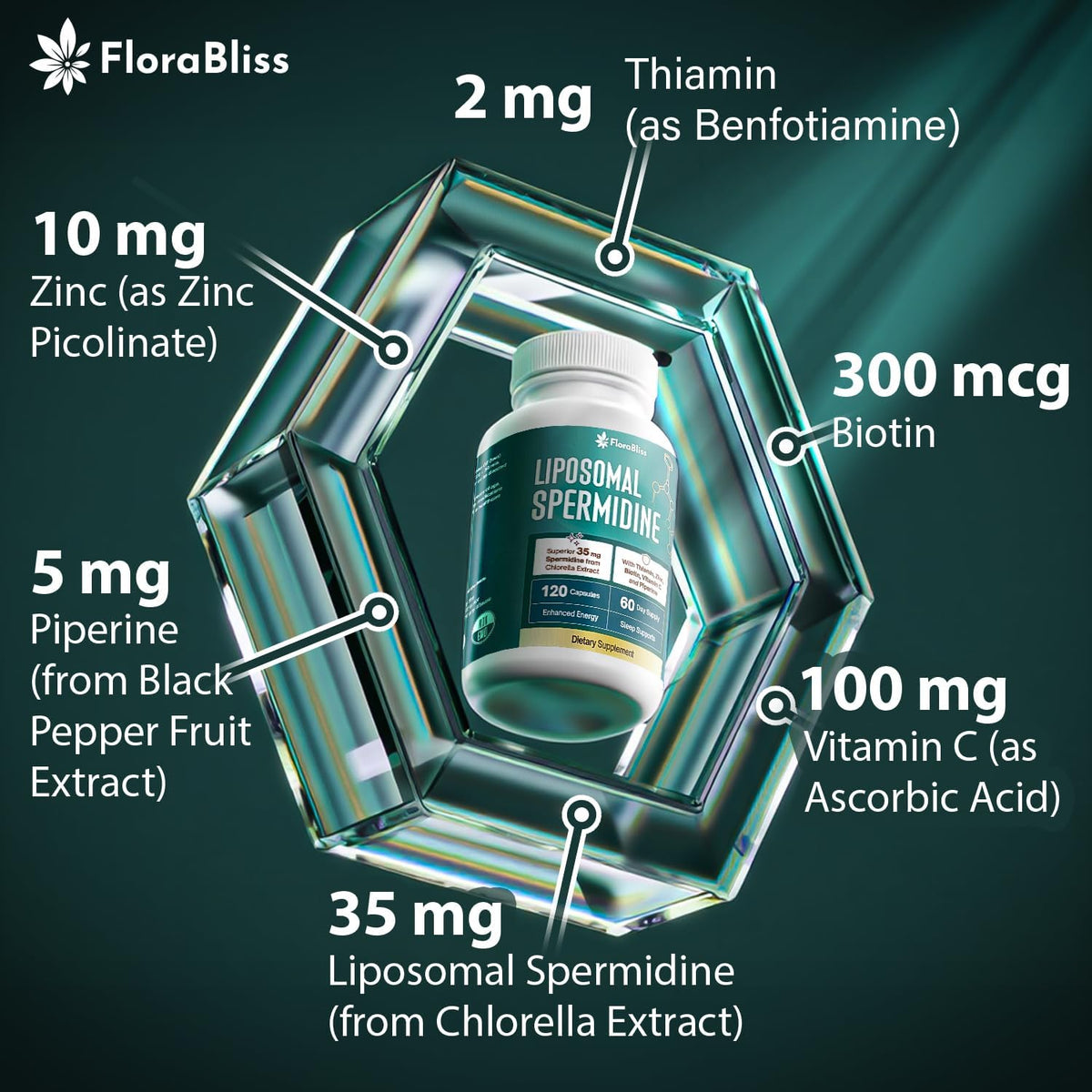 Spermidine Supplement from Chlorella with Thiamin, Zinc, Biotin, & Vitamin C | 120 Capsules | Gluten-Free for Cellular Renewal, Healthy Aging & Vitality Support | 60-Day Supply