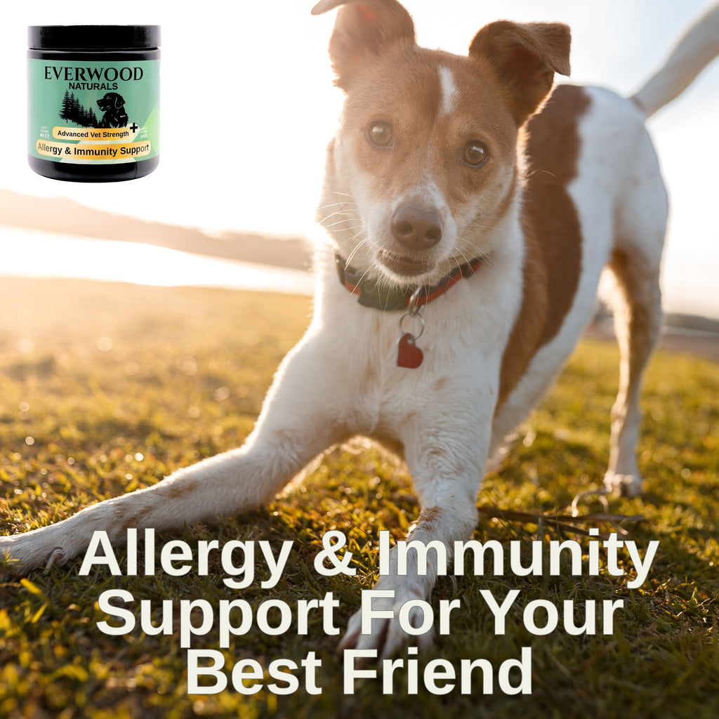 Everwood Naturals Advanced Vet Strength Allergy & Immunity Dog Supplement Chews