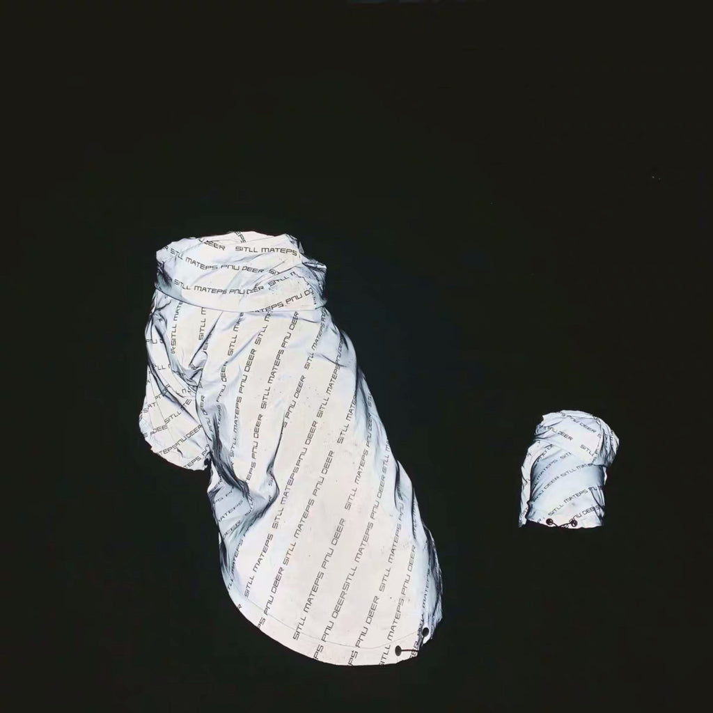 Pet non-fury windproof clothing