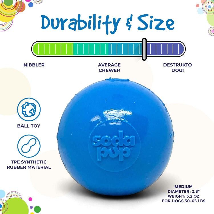 Squeak Ball - Durable Squeaky Dog Toy, Floats, Chew Toy | USA Made
