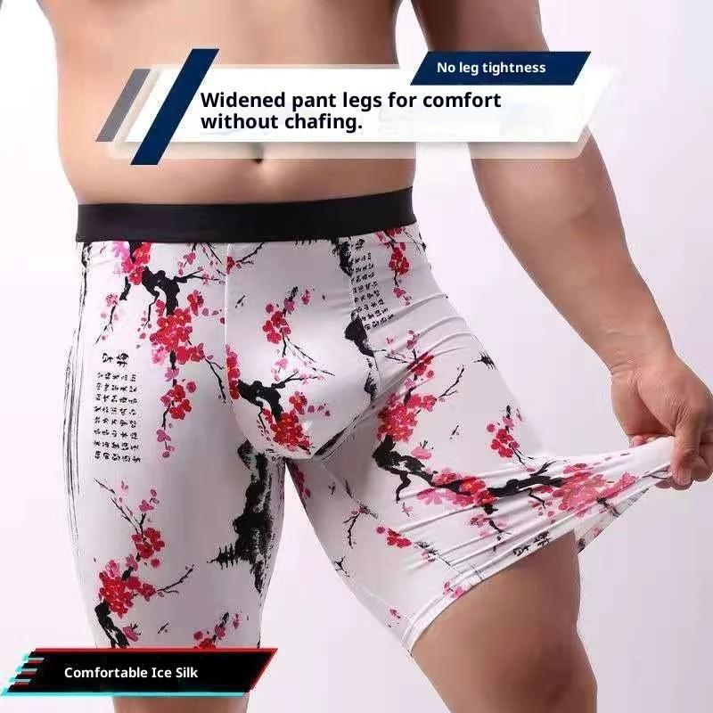 Men's Assorted Print Underwear