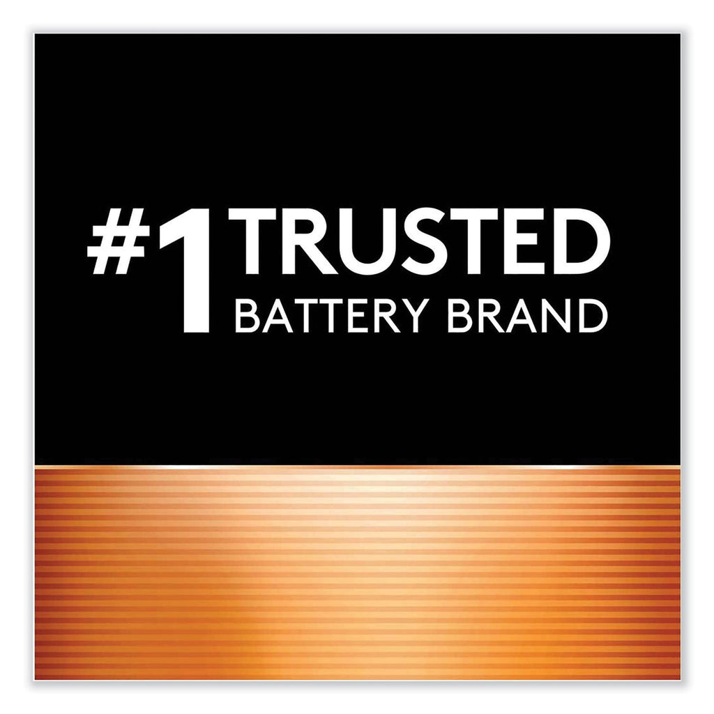 Duracell ION SPEED 1000 Advanced Charger, For AA and AAA, Includes 4 AA NiMH Batteries
