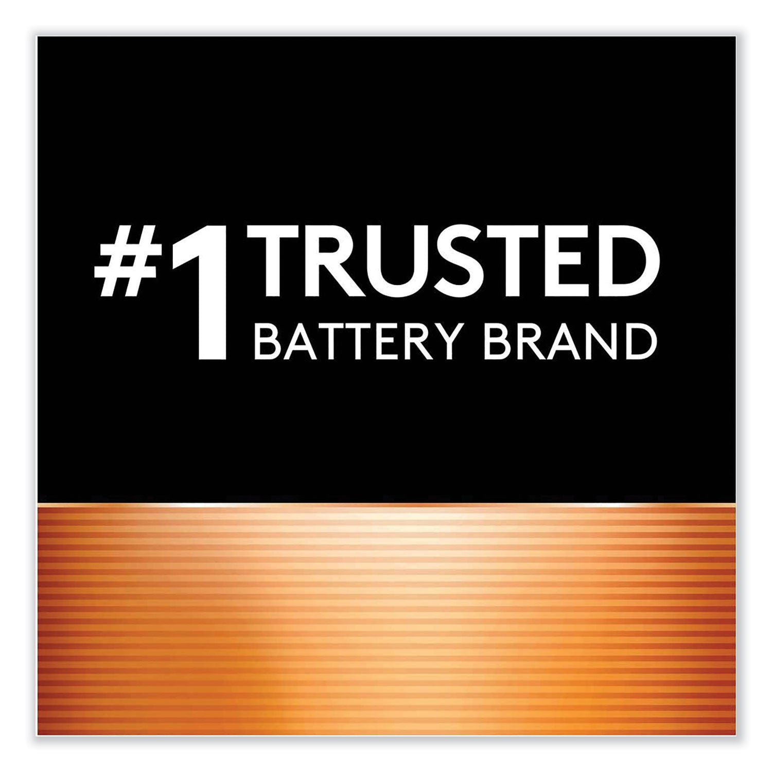 Duracell ION SPEED 1000 Advanced Charger, For AA and AAA, Includes 4 AA NiMH Batteries