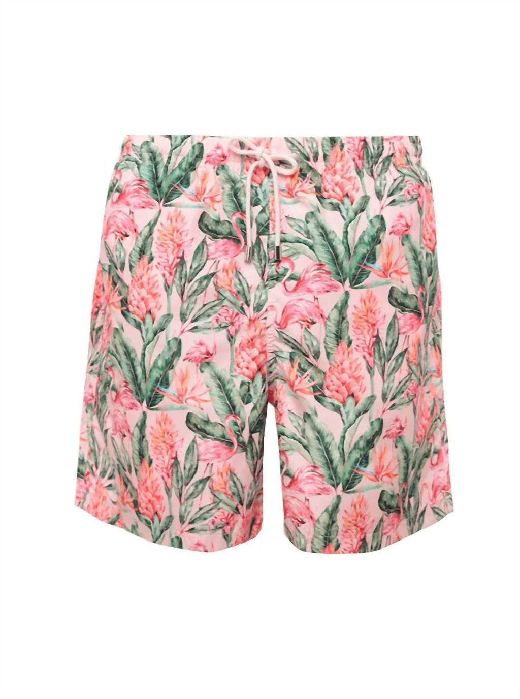 Men's Patterned Swim Shorts
