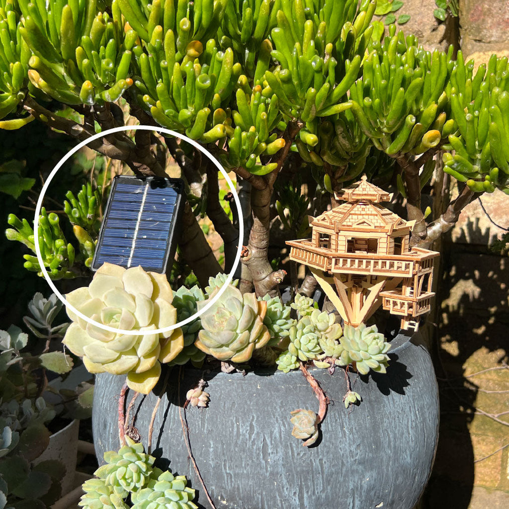 Solar LED Lights