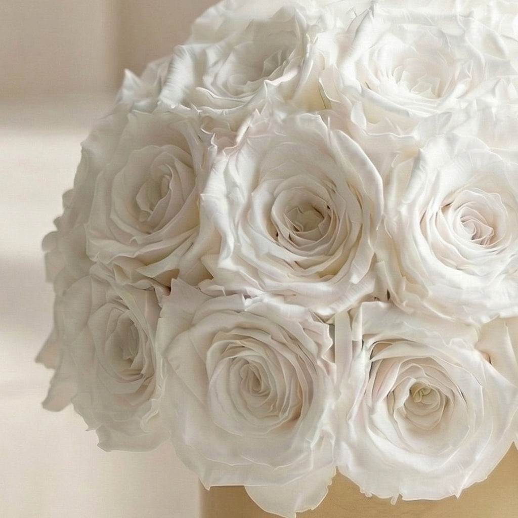 Basic Gold Superdome Box | White Roses