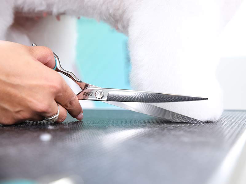 Zora Pet Grooming Curved Shear - Model A-800C