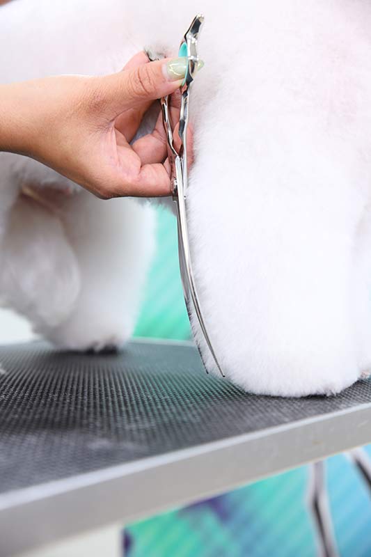 Zora Pet Grooming Curved Shear - Model A-800C