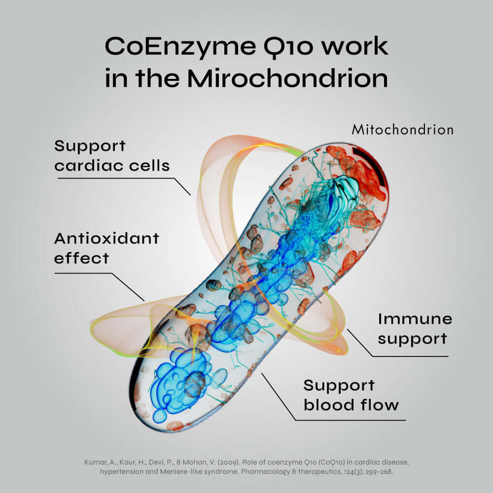 CoEnzyme Q10 Capsules (CoQ10)