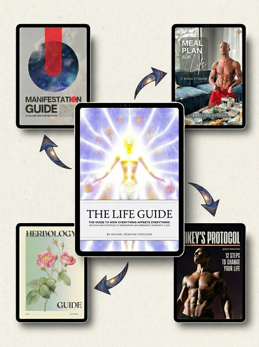 THE LIFE GUIDE