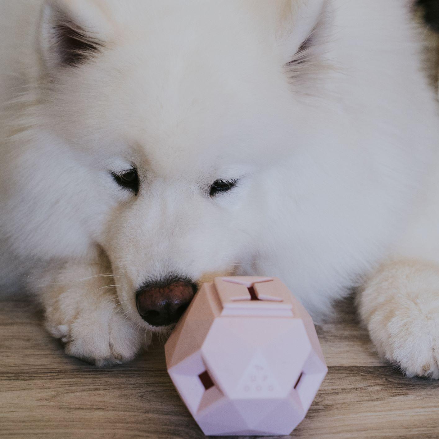 The Odin Treat Dispensing Toy For Dogs
