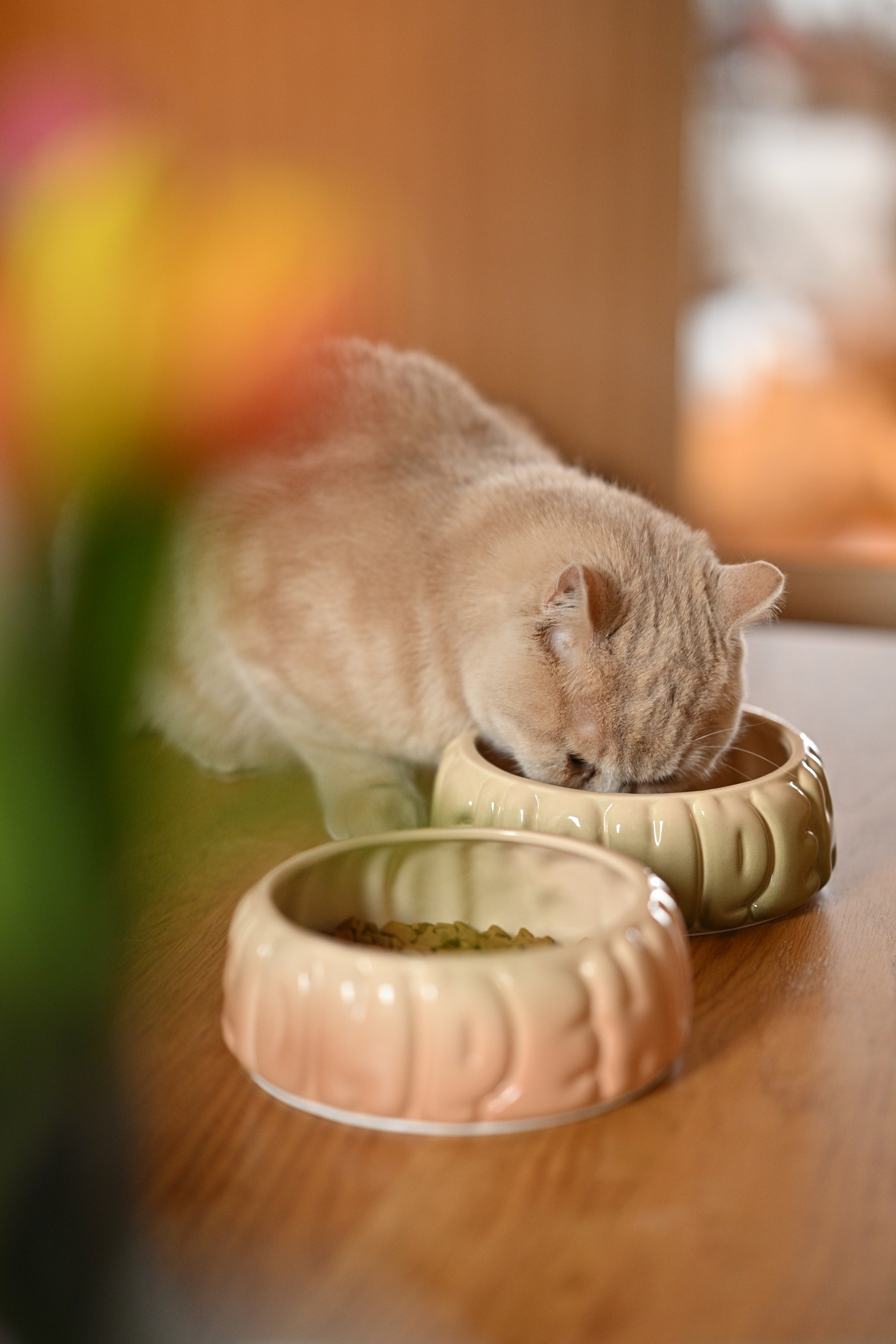 Puff Pet Bowl - Gradient Caramel