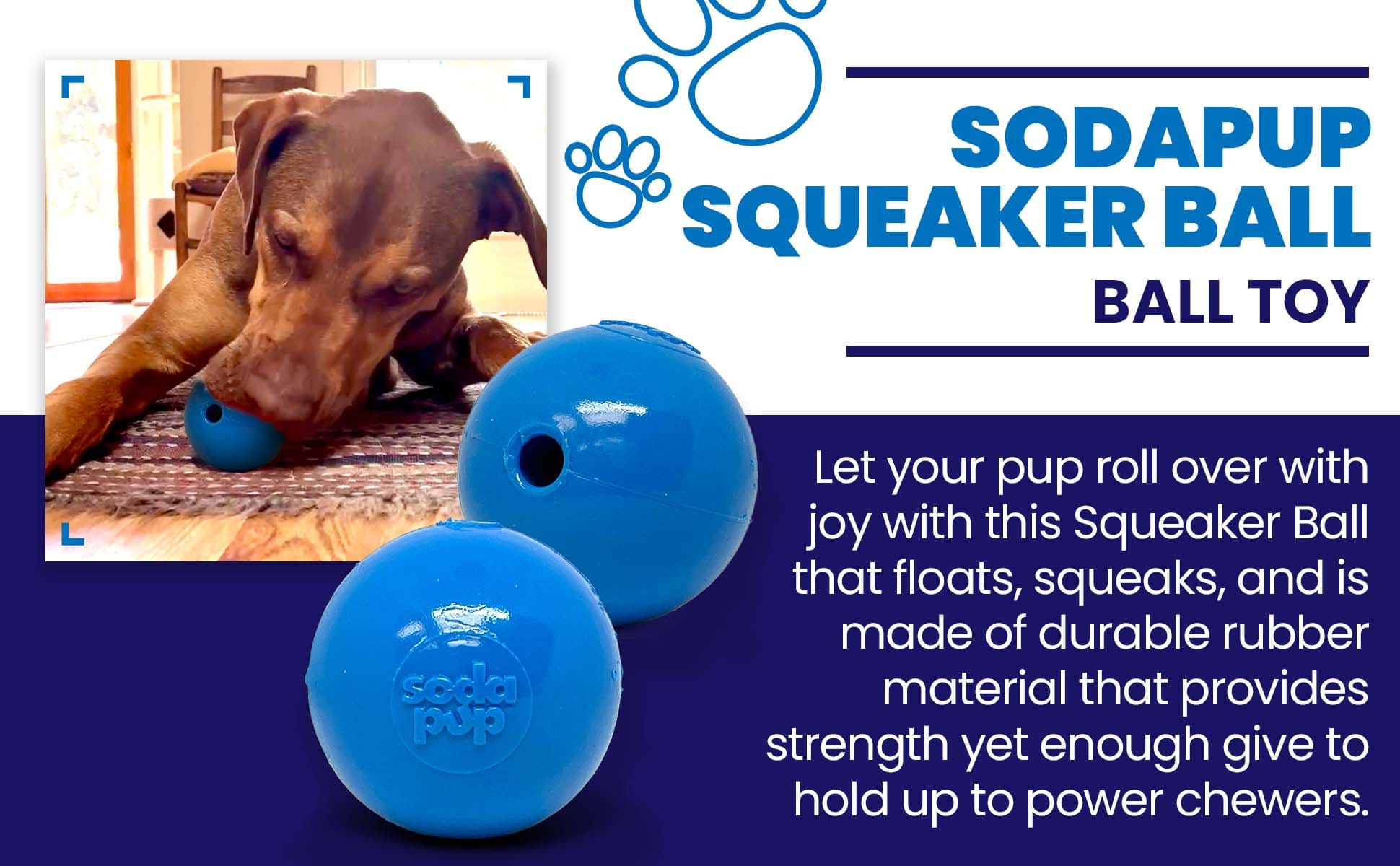 Squeak Ball - Durable Squeaky Dog Toy, Floats, Chew Toy | USA Made