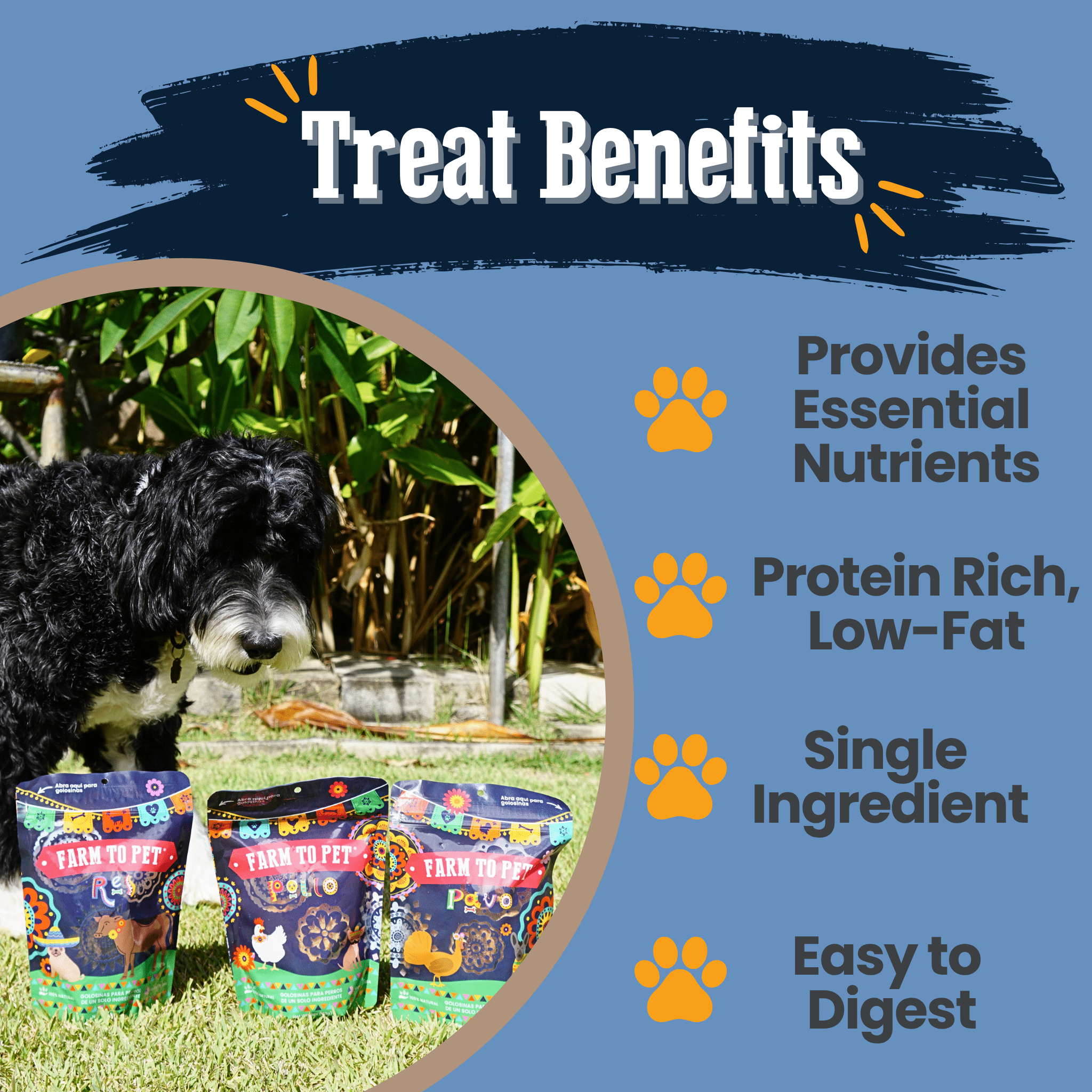 Premios Para Perros Fiesta Pack | Dog Treat Variety Bundle