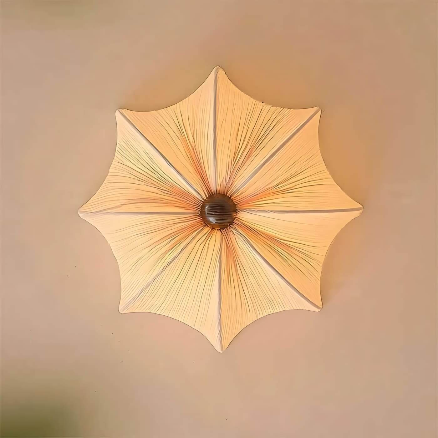 Feynar Ceiling Light