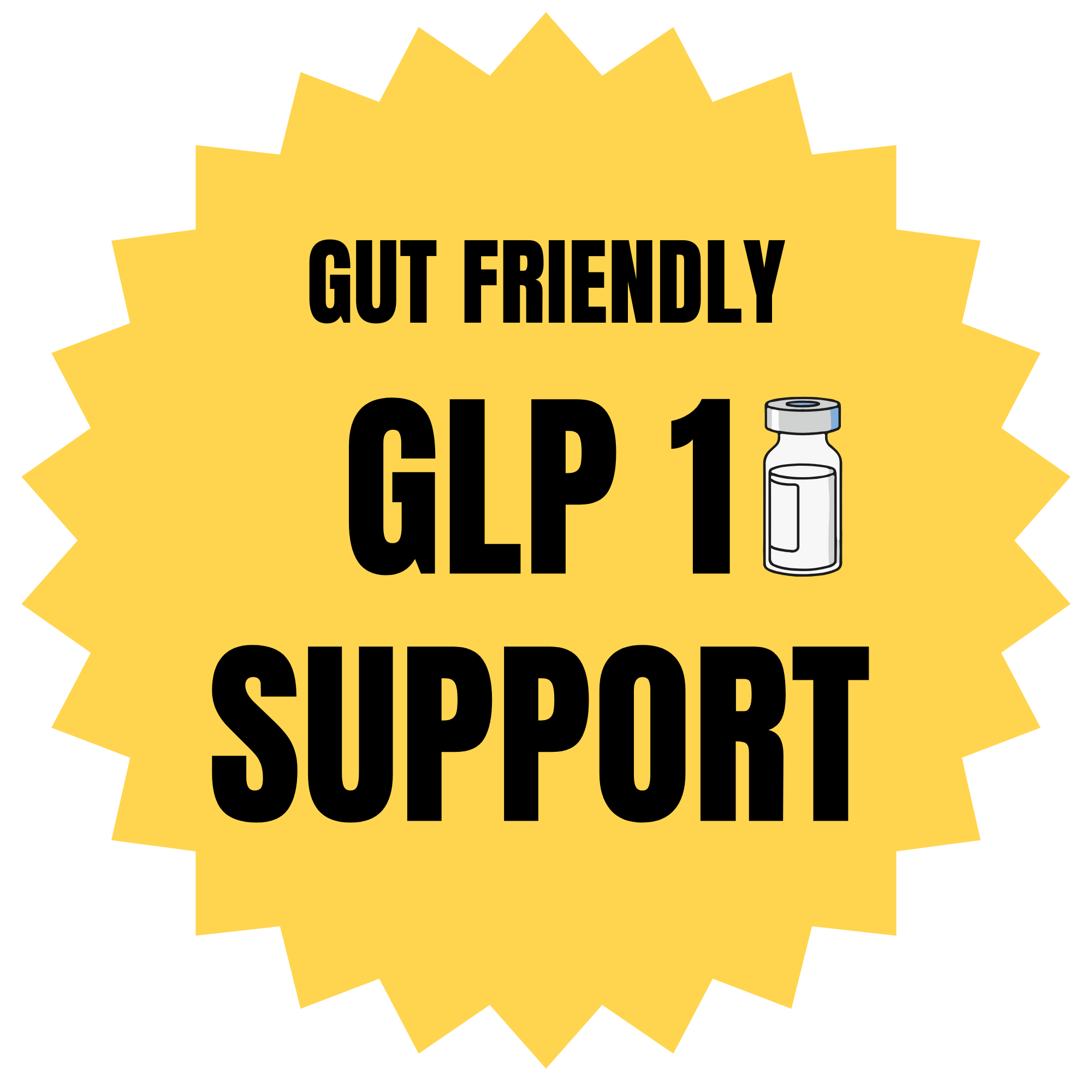 GLP-1 Companion Whey Protein (Chocolate) Low FODMAP, Gut-Gentle Nutrition Support