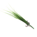 Dlight Decor Onion Grass Bunch for Natural Green Wall and Home Decor