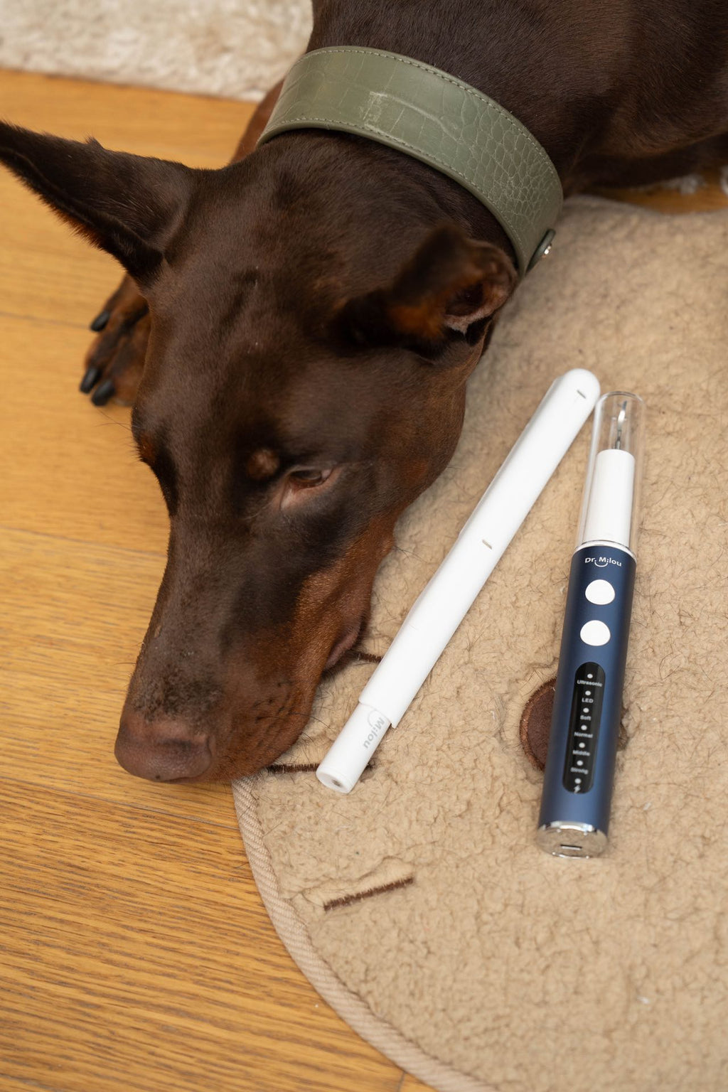 Home Pet Oral Care (Electric Toothbrush / Ultrasonic Dental Scaler / Full Set) by Dr. Milou