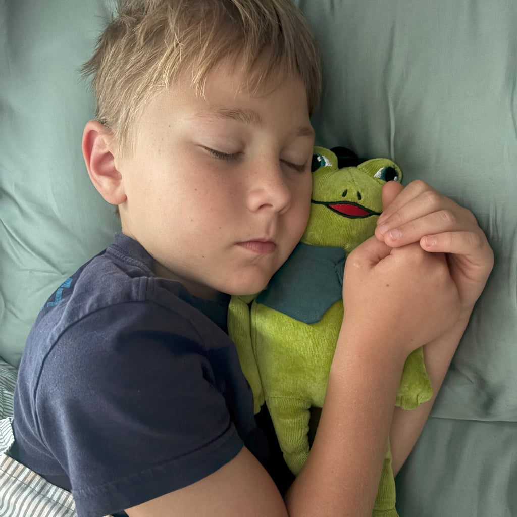 Frog: Disappears!, Book Four & Organic Cotton Frog Plushie