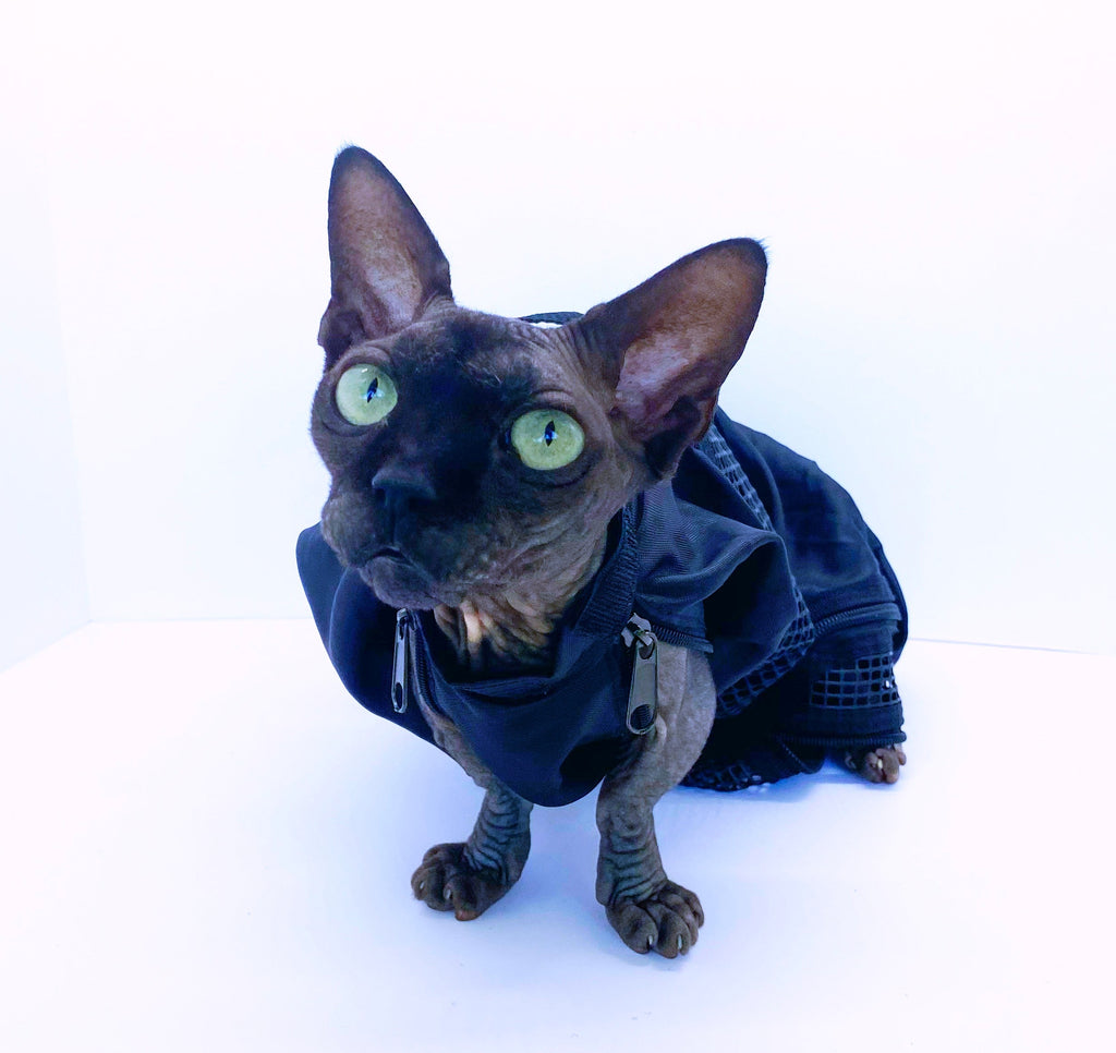 CAT/SMALL DOG GROOMING BAG