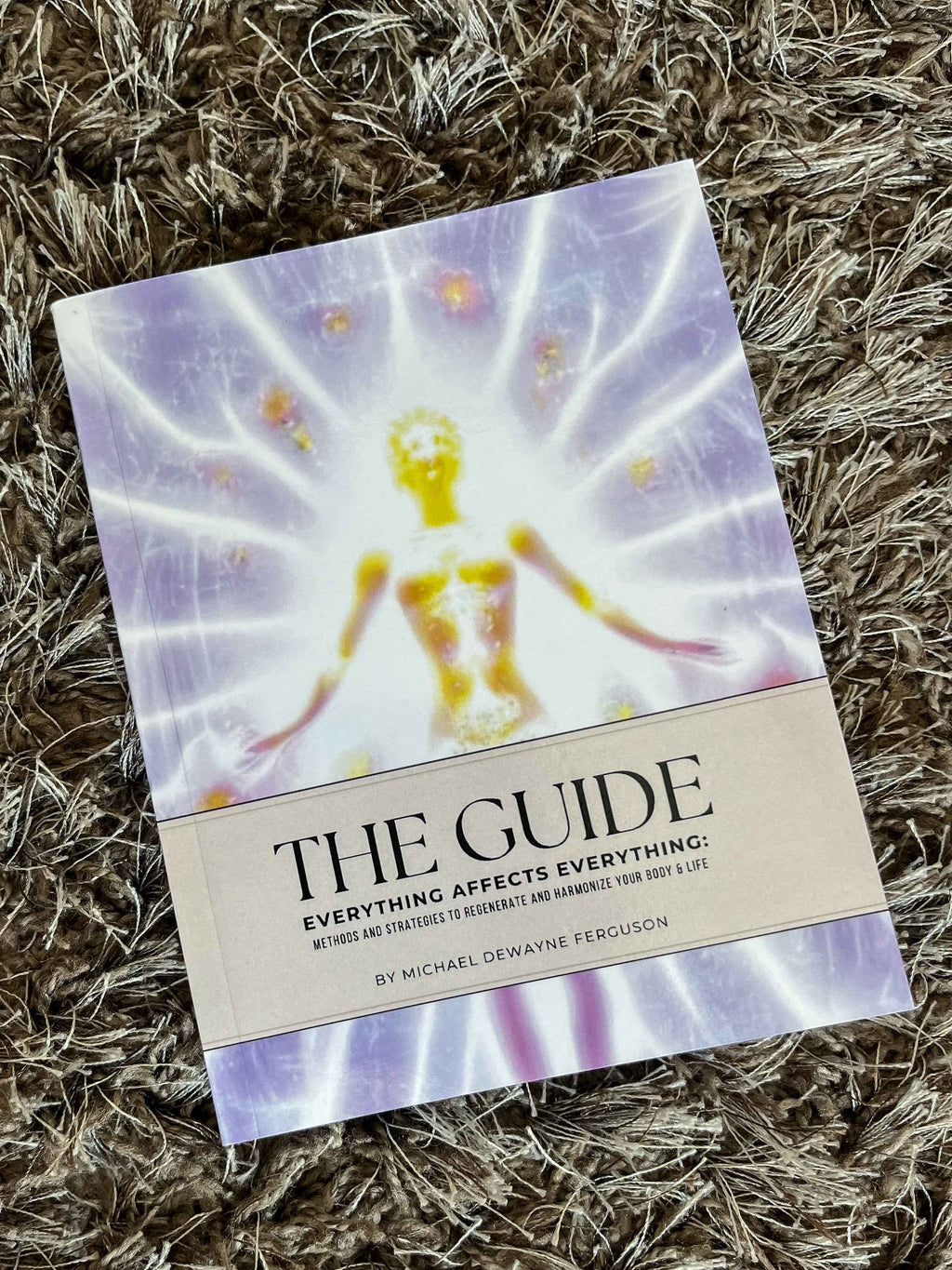 The Life Guide [Paperback]