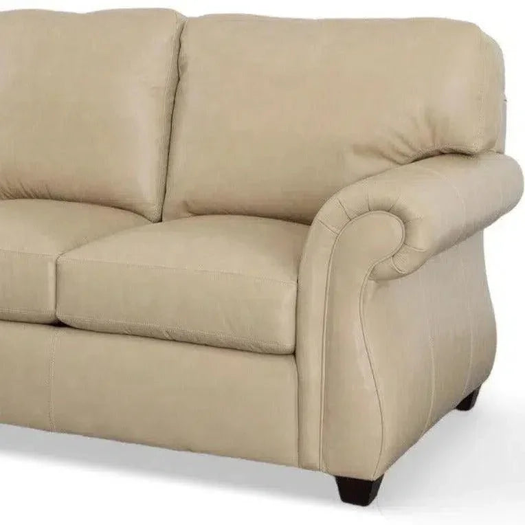 Journey to the Center of Leather Sofa