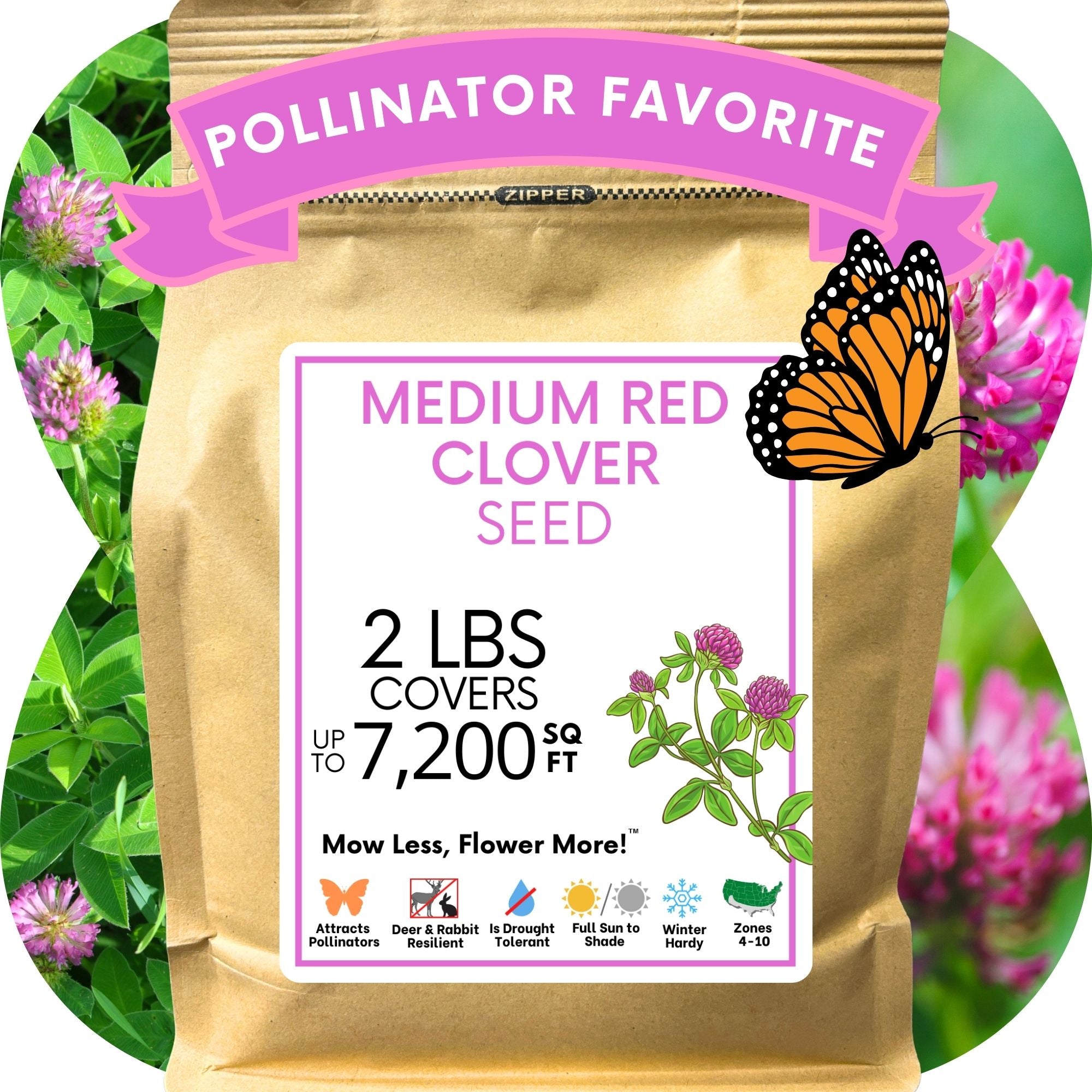 Medium Red Clover Seed