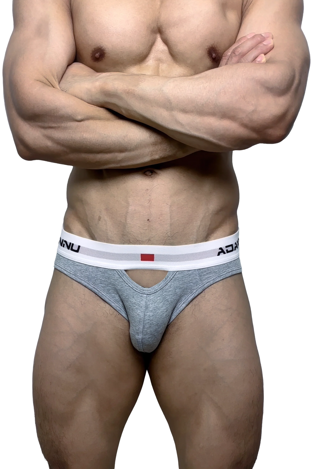 Men’s Sexy Briefs – Hollow Front & Back, Cotton Low Waist
