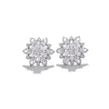 S925 Ice Flower 5A Zircon Stud Earrings, Sterling Silver Jewelry for Women