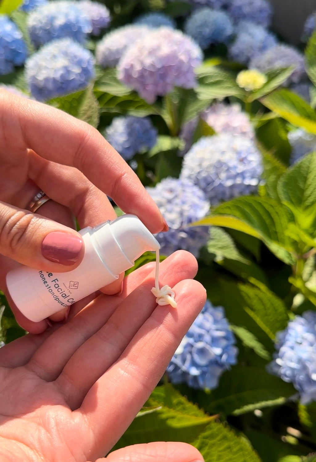 Rose Face Anti-Aging Cream and Moisturizer