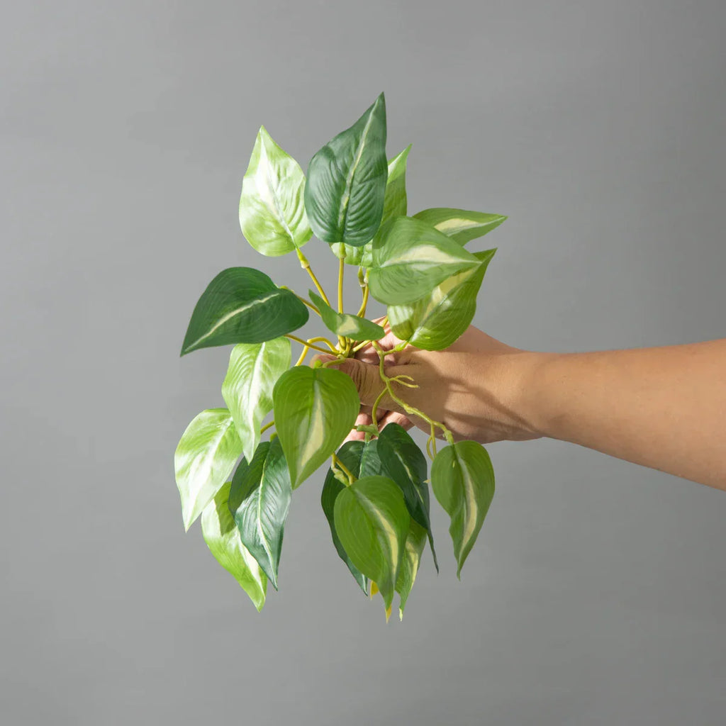 Dlight Decor 25cm Monstera Leaf Vine for Desktop and Holiday Decor