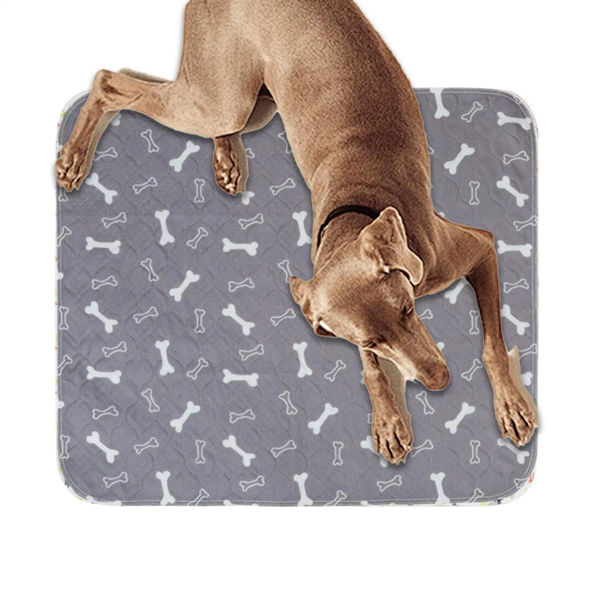 Pet Pee Pad Waterproof Washable Puppy Pee Pad Durable Absorbent Pet Bed Mat Reusable Anti-Slip Dog Urine Pad Cat Care Dog Mat
