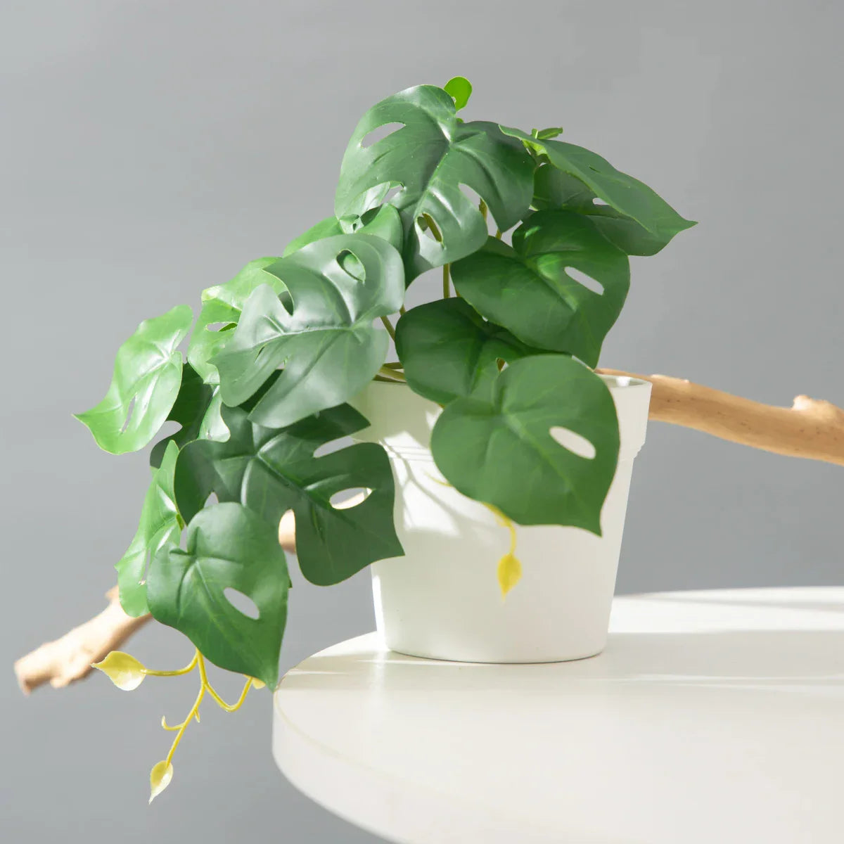 Dlight Decor 25cm Monstera Leaf Vine for Desktop and Holiday Decor