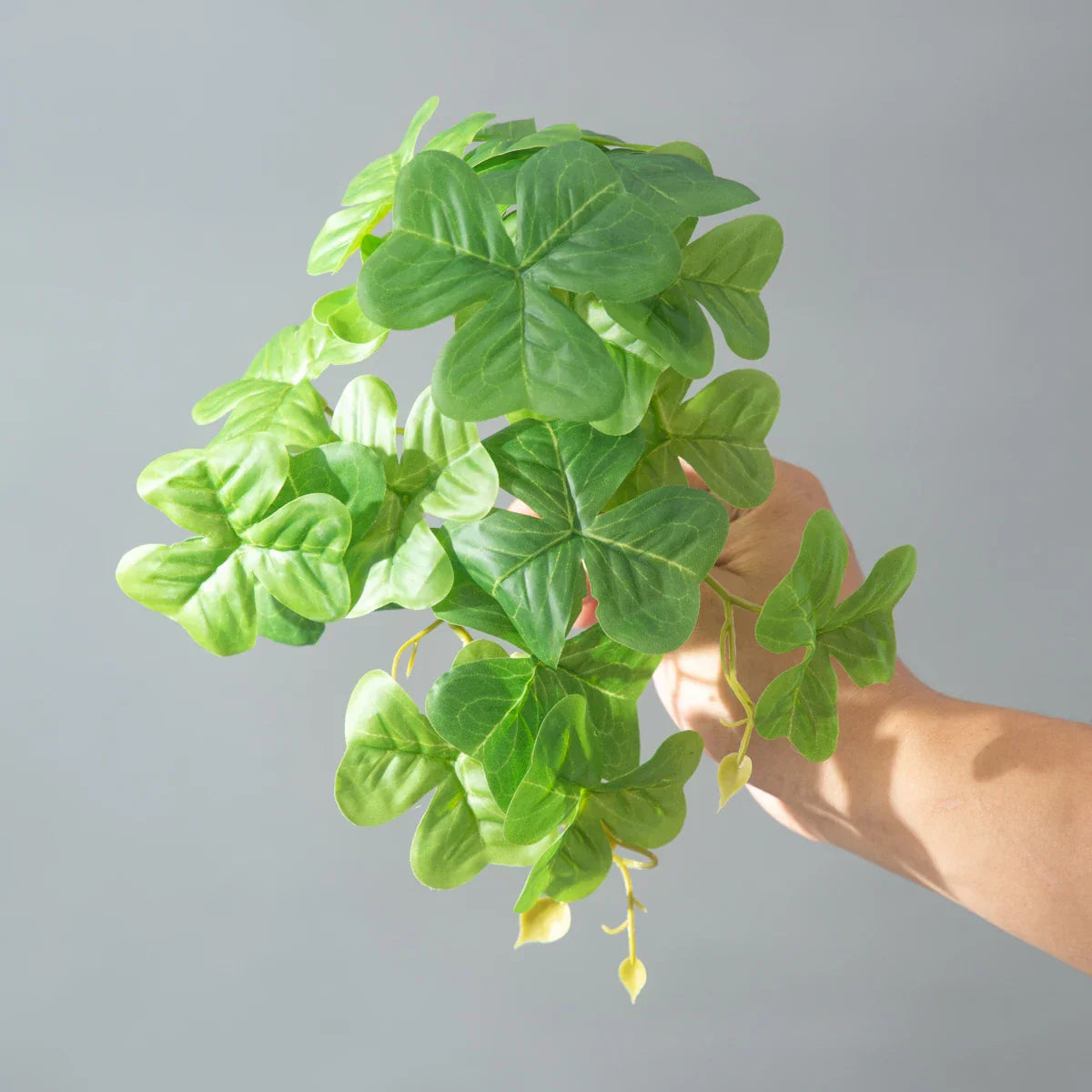 Dlight Decor 25cm Monstera Leaf Vine for Desktop and Holiday Decor