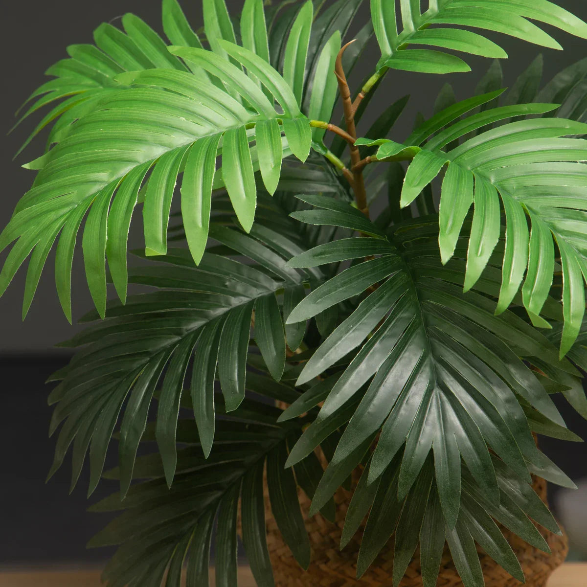 Dlight Decor 50cm Palm Tree with 14 Tropical Leaves