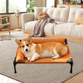 Elevated Pet Bed Multifunctional Outdoor Spacious Heavy Duty Easy Clean Comfortable Indoor Pet Supplies Accessory Metal Frame