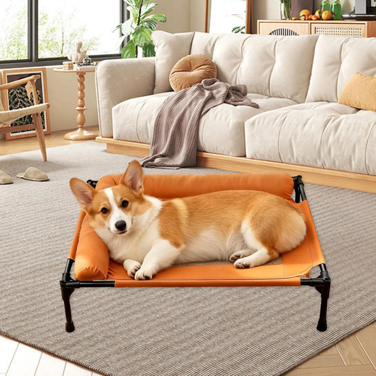 Elevated Pet Bed Multifunctional Outdoor Spacious Heavy Duty Easy Clean Comfortable Indoor Pet Supplies Accessory Metal Frame