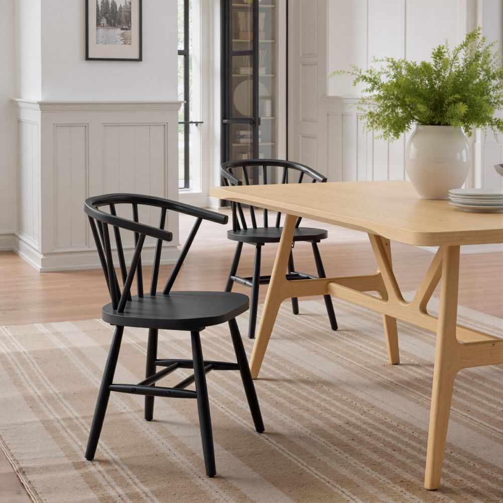 Stenger Painted Wooden Dining Chair 2PC