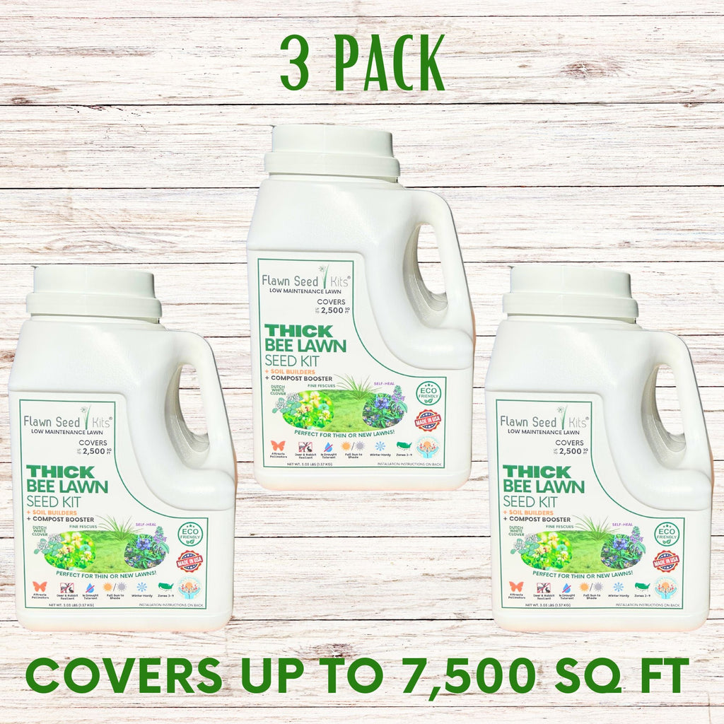 Thick Bee Lawn Seed Kit