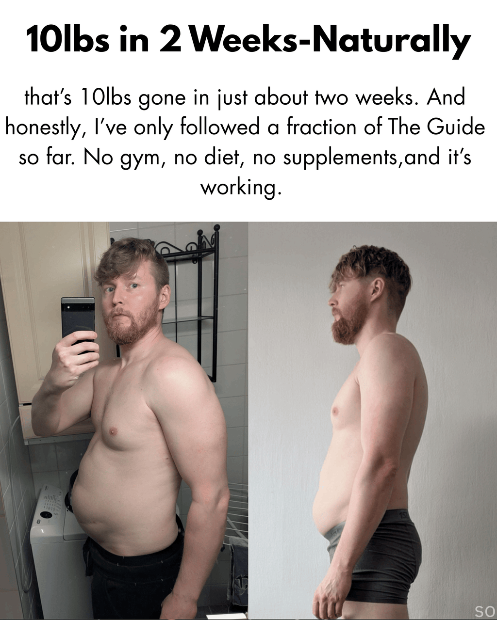 THE LIFE GUIDE